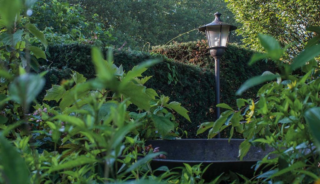 Het wandeldomein op Hovenierscentrum de Briellaerd Barneveld.