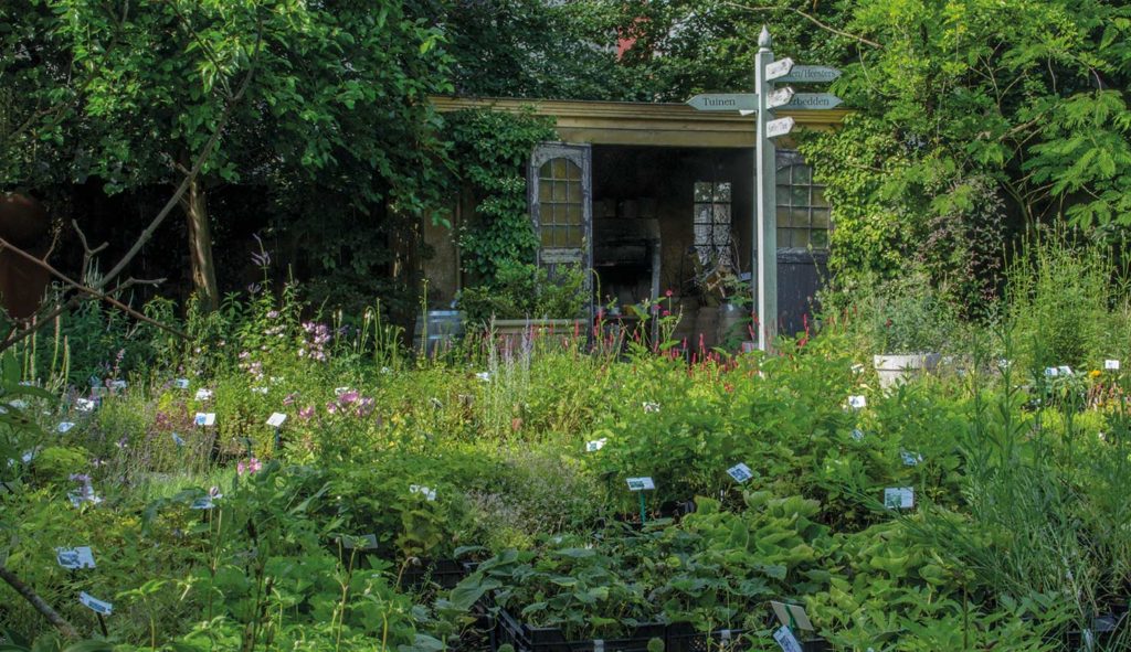 Het wandeldomein op Hovenierscentrum de Briellaerd Barneveld.