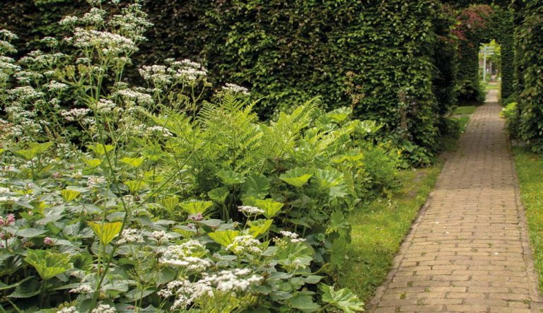 2_wandeldomein_liggend_32
