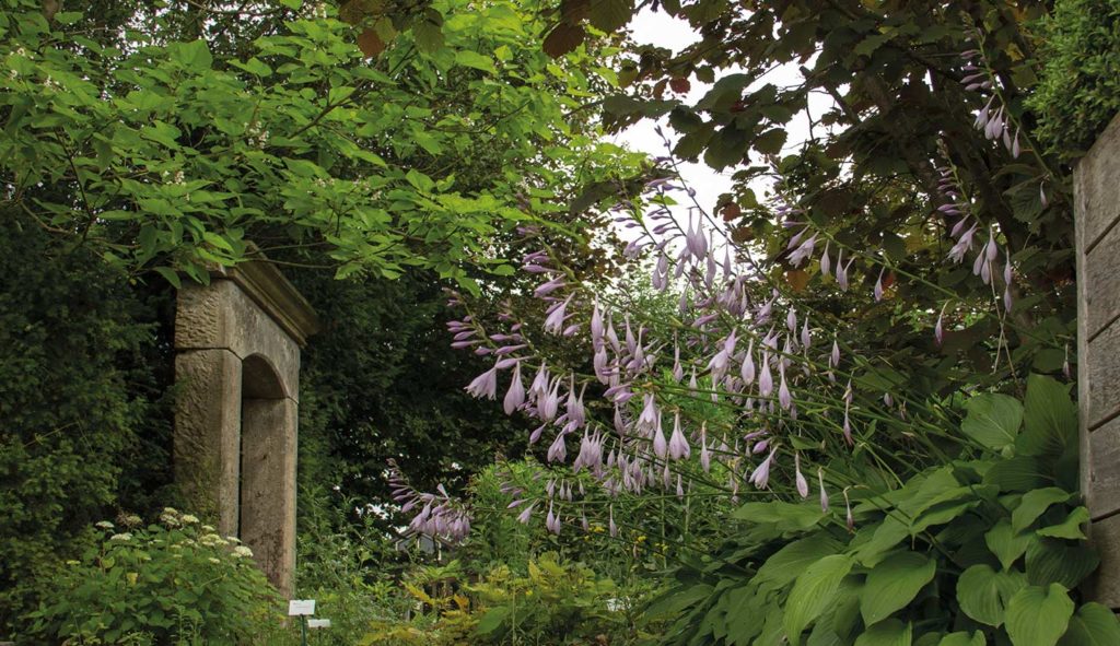 Het wandeldomein op Hovenierscentrum de Briellaerd Barneveld.