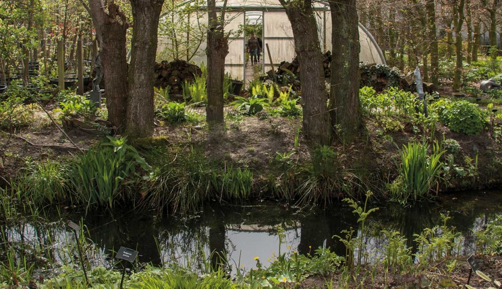 Het wandeldomein op Hovenierscentrum de Briellaerd Barneveld.
