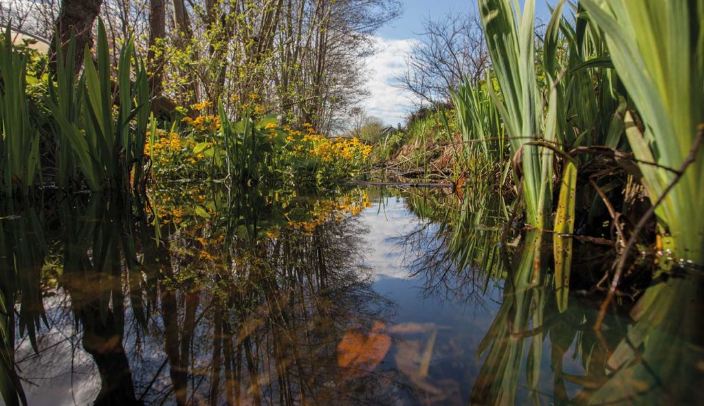 Het wandeldomein op Hovenierscentrum de Briellaerd Barneveld.