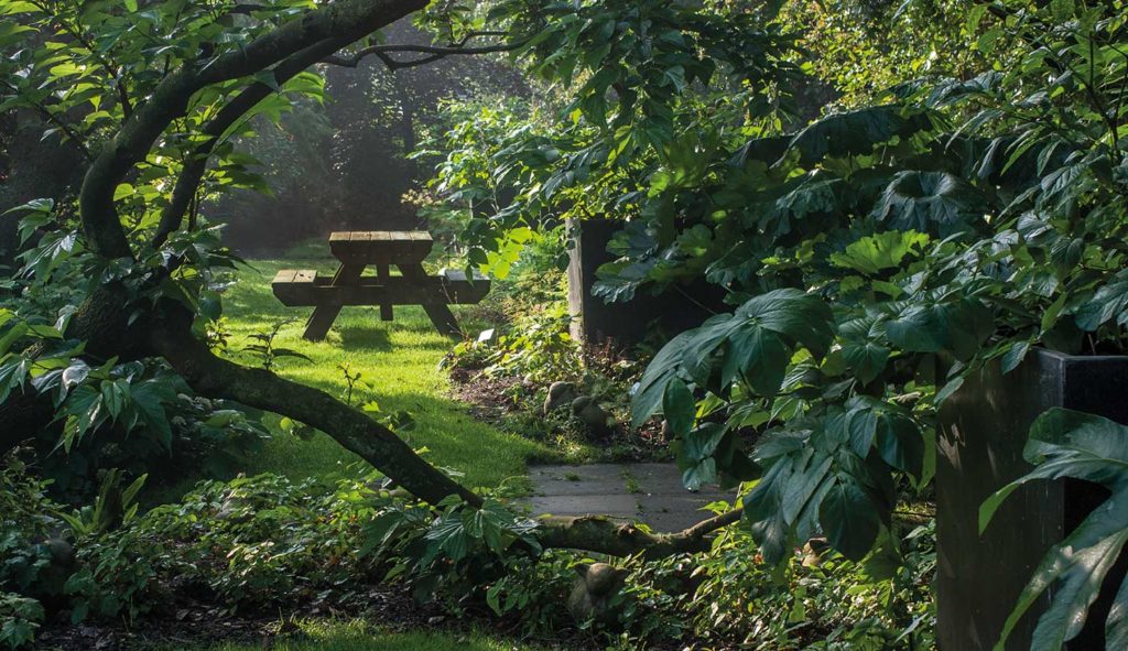 Het wandeldomein op Hovenierscentrum de Briellaerd Barneveld.