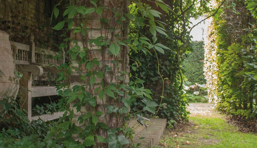 Het wandeldomein op Hovenierscentrum de Briellaerd Barneveld.