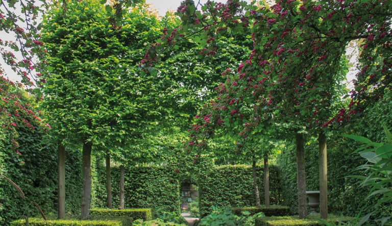de-briellaerd-in-lentesfeer-hovenierscentrum-de-briellaerd-barneveld-l_4