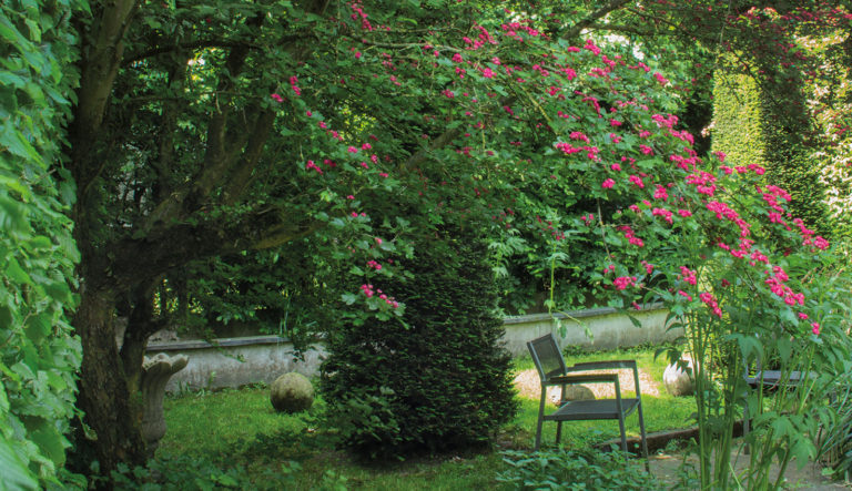 de-briellaerd-in-lentesfeer-hovenierscentrum-de-briellaerd-barneveld-l_5