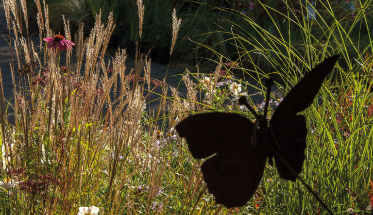 de-briellaerd-in-herfstsfeer-hovenierscentrum-de-briellaerd-barneveld-l_2