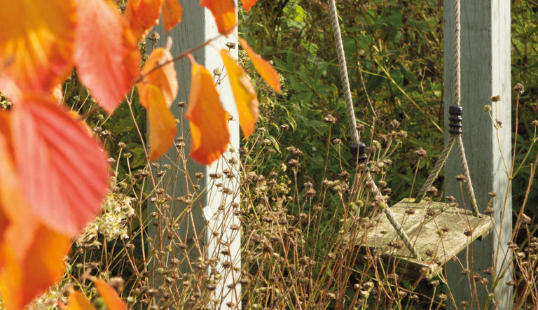 de-briellaerd-in-herfstsfeer-hovenierscentrum-de-briellaerd-barneveld-l_7
