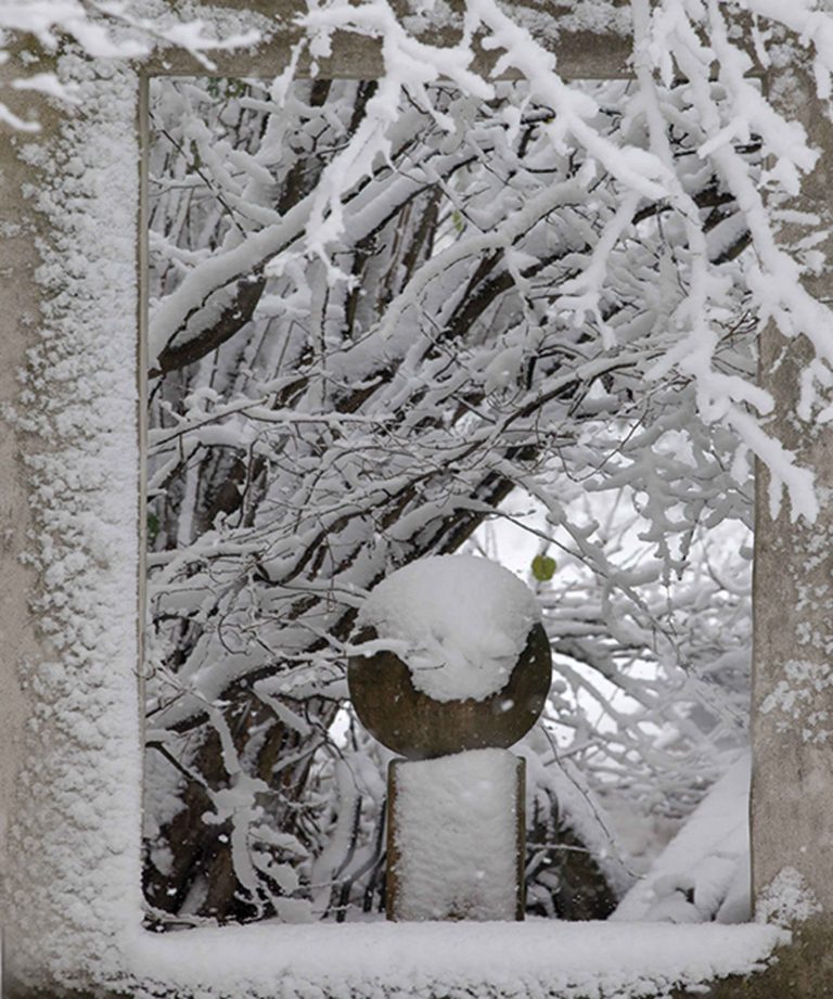 de-briellaerd-in-wintersfeer-hovenierscentrum-de-briellaerd-barneveld-s_10