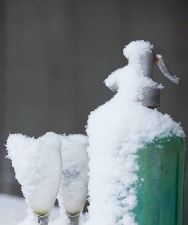 de-briellaerd-in-wintersfeer-hovenierscentrum-de-briellaerd-barneveld-s_2
