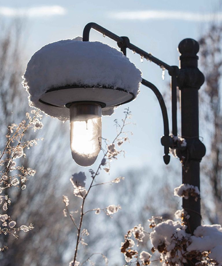 de-briellaerd-in-wintersfeer-hovenierscentrum-de-briellaerd-barneveld-s_20