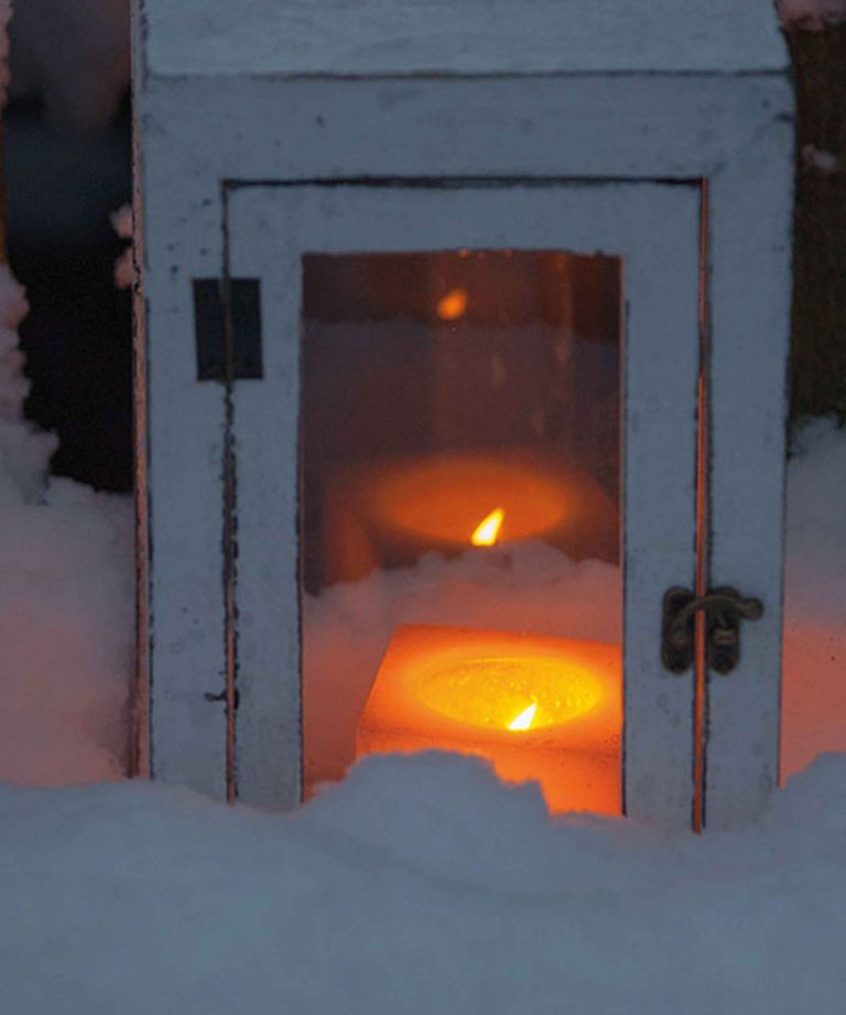 de-briellaerd-in-wintersfeer-hovenierscentrum-de-briellaerd-barneveld-s_21