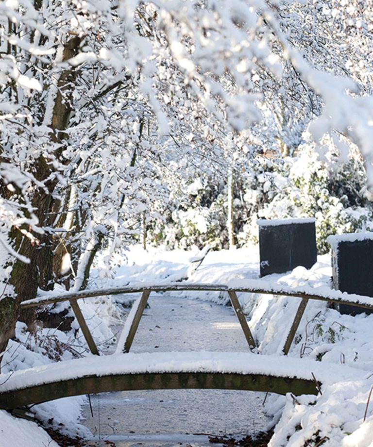 de-briellaerd-in-wintersfeer-hovenierscentrum-de-briellaerd-barneveld-s_8