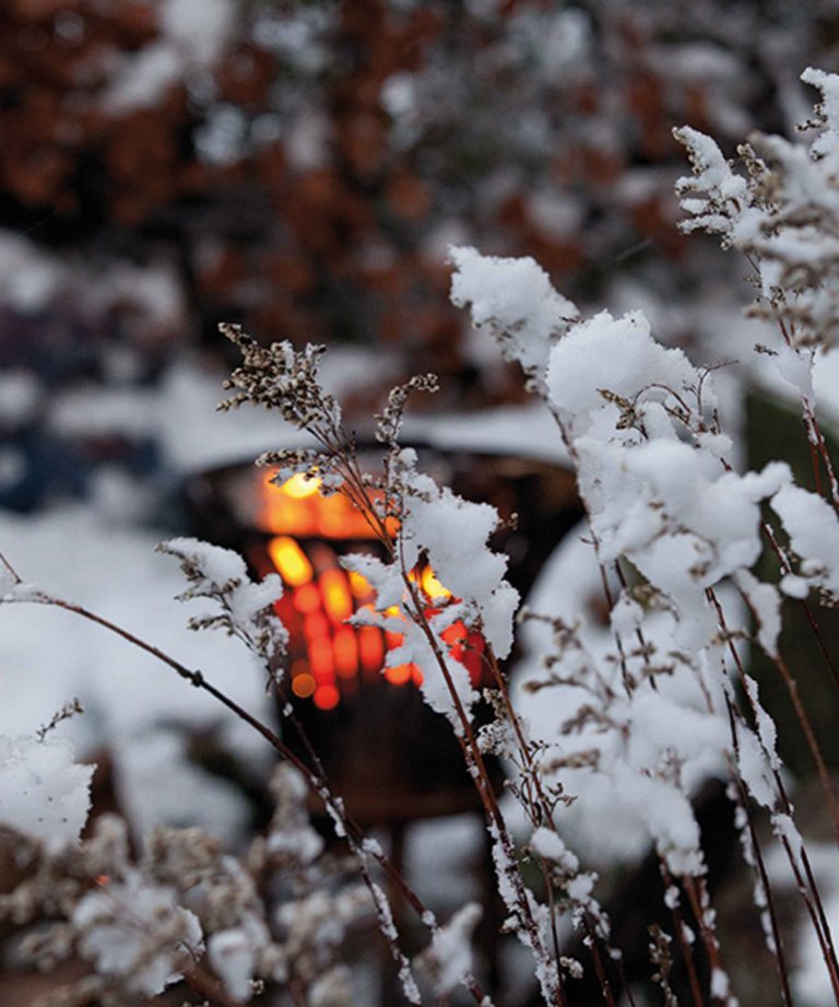 de-briellaerd-in-wintersfeer-hovenierscentrum-de-briellaerd-barneveld-s_9