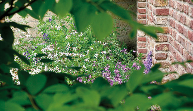 de-briellaerd-in-zomersfeer-hovenierscentrum-de-briellaerd-barneveld-l_5
