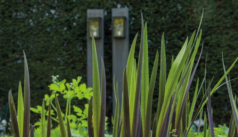 grijze-tuin-hovenierscentrum-de-briellaerd-barneveld_l2_5
