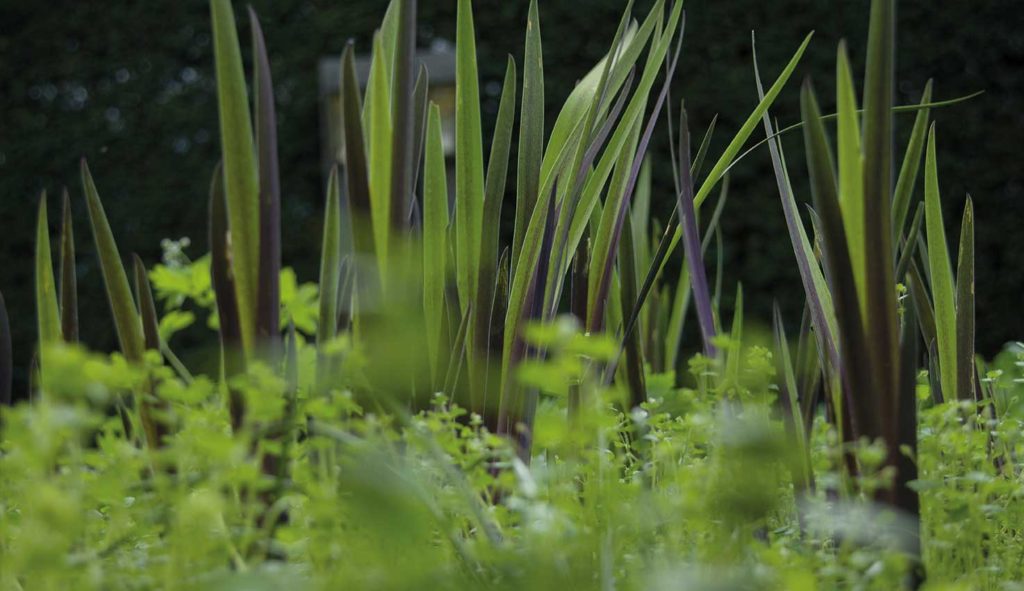 Thematuin genaamd 'grijze tuin' op Hovenierscentrum De Briellaerd in Barneveld