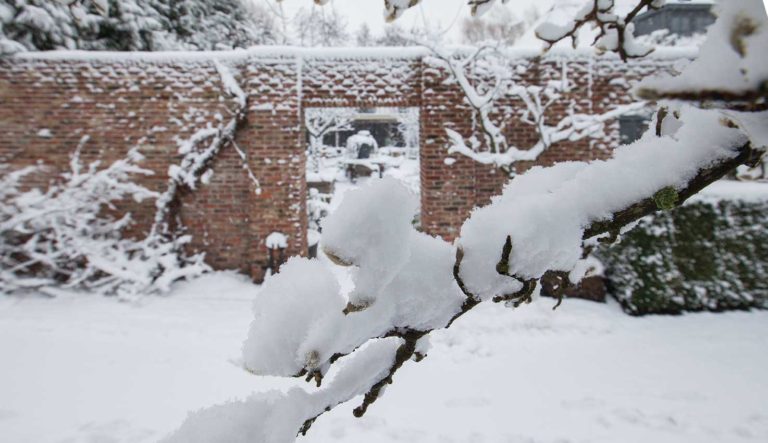 kloostertuin-hovenierscentrum-de-briellaerd-barneveld_l2_17