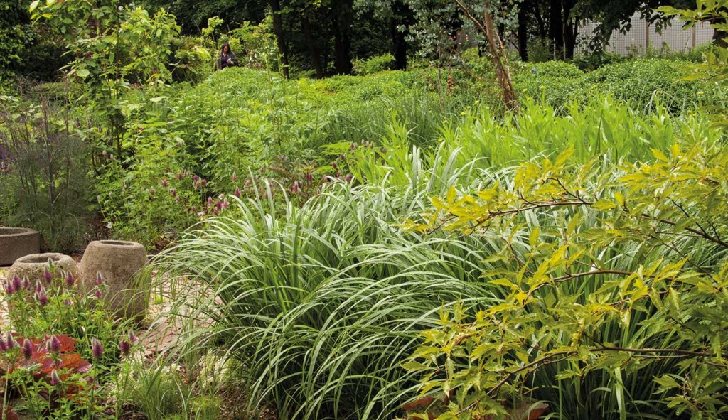 Thematuin genaamd 'Prairietuin' op Hovenierscentrum De Briellaerd in Barneveld