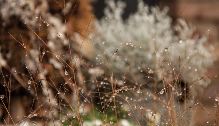 prairietuin-hovenierscentrum-de-briellaerd-barneveld_l2_24