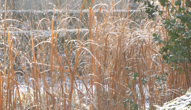 prairietuin-hovenierscentrum-de-briellaerd-barneveld_l2_31