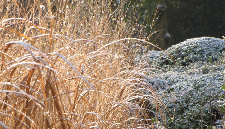 prairietuin-hovenierscentrum-de-briellaerd-barneveld_l2_32
