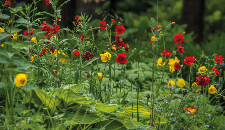 prairietuin-hovenierscentrum-de-briellaerd-barneveld_l3_34