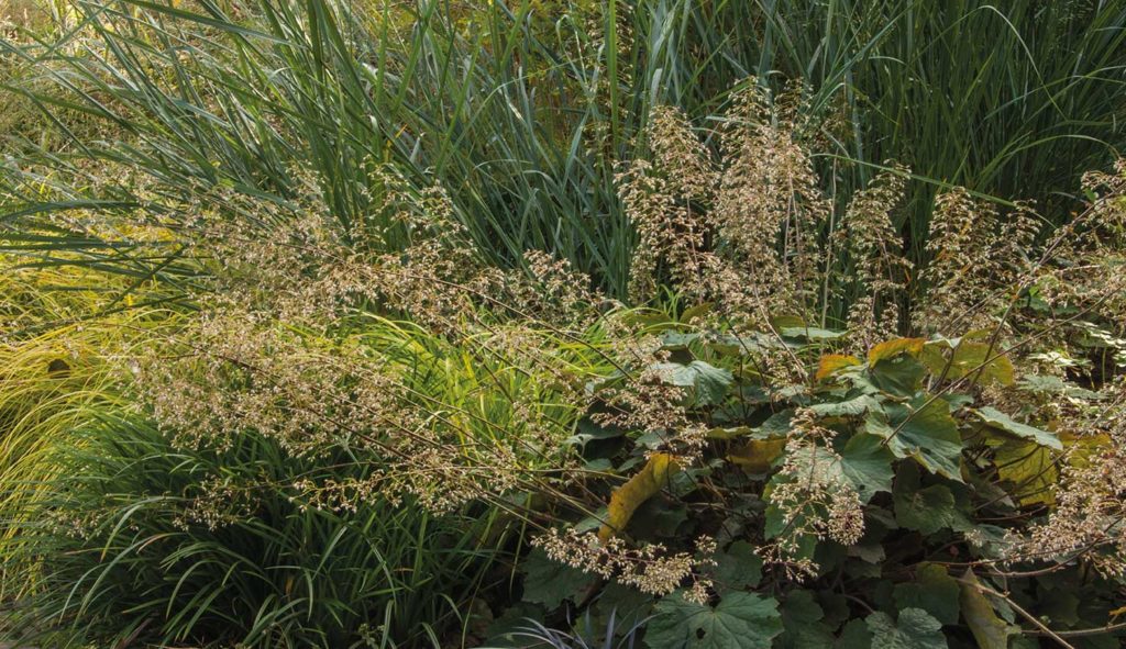 Thematuin genaamd 'Prairietuin' op Hovenierscentrum De Briellaerd in Barneveld