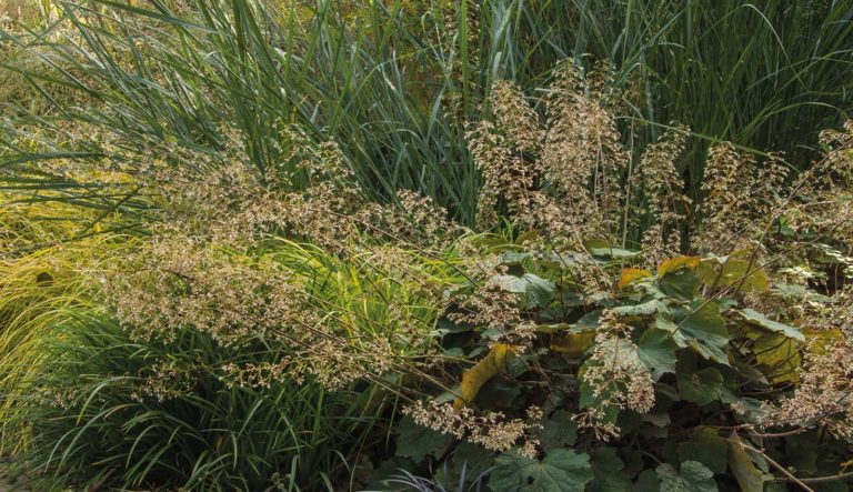 prairietuin-hovenierscentrum-de-briellaerd-barneveld_l_2