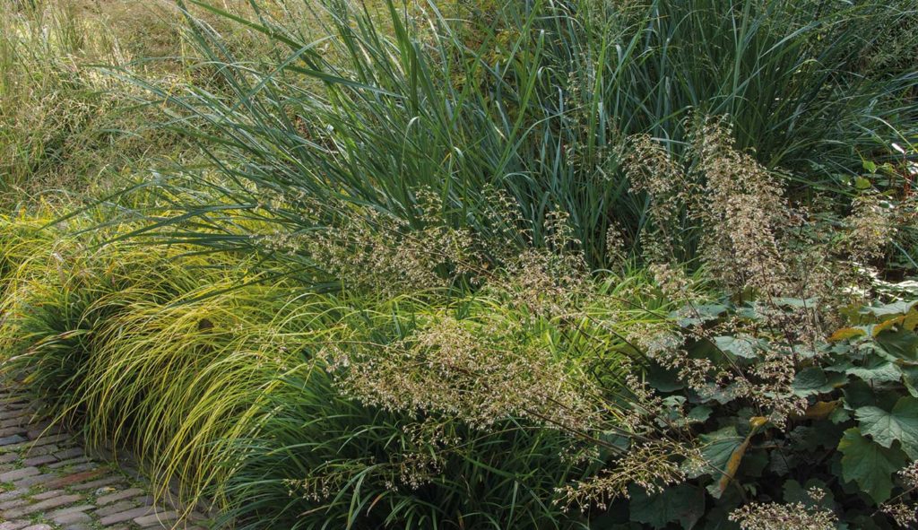 Thematuin genaamd 'Prairietuin' op Hovenierscentrum De Briellaerd in Barneveld