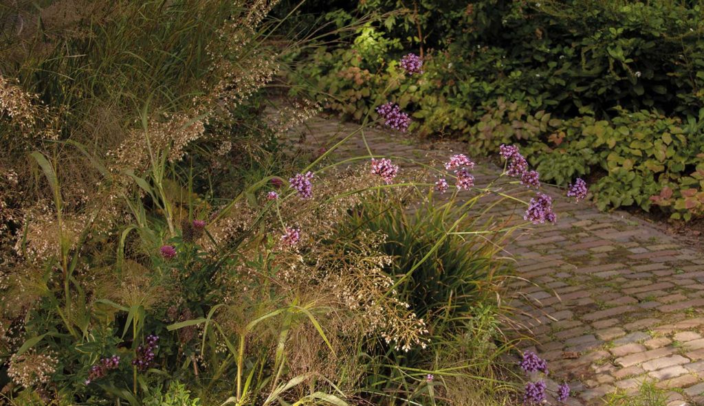 Thematuin genaamd 'Prairietuin' op Hovenierscentrum De Briellaerd in Barneveld