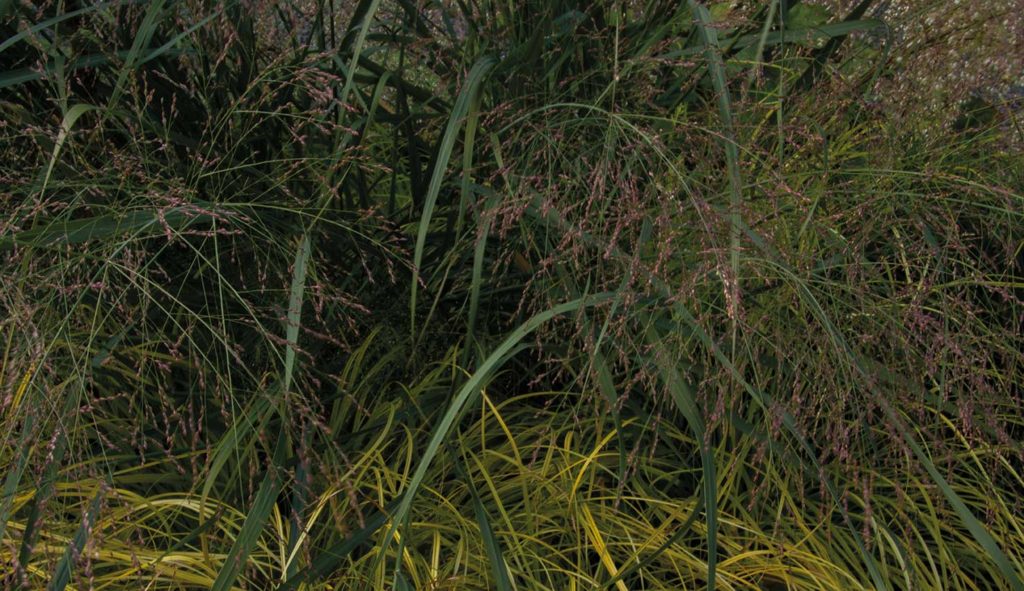 Thematuin genaamd 'Prairietuin' op Hovenierscentrum De Briellaerd in Barneveld