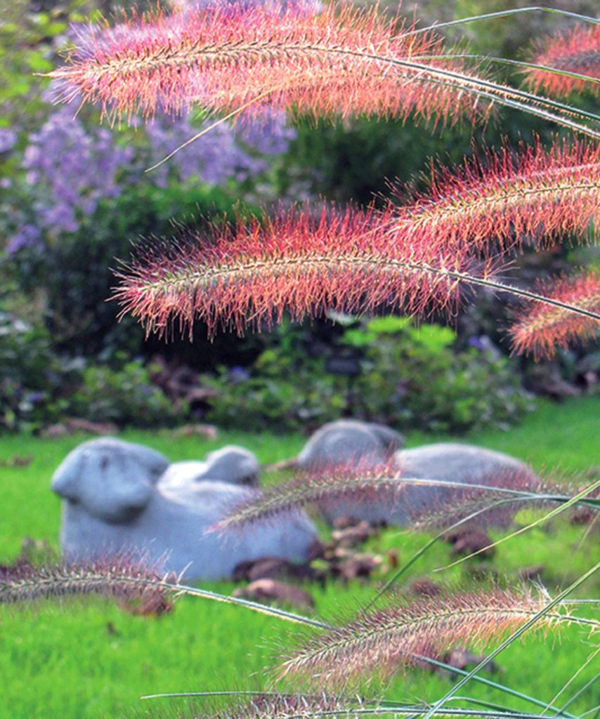 Tuinornamenten | Hovenierscentrum De Briellaerd Barneveld