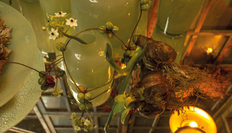 tuinwinkel-in-wintersfeer-hovenierscentrum-de-briellaerd-barneveld-l_4