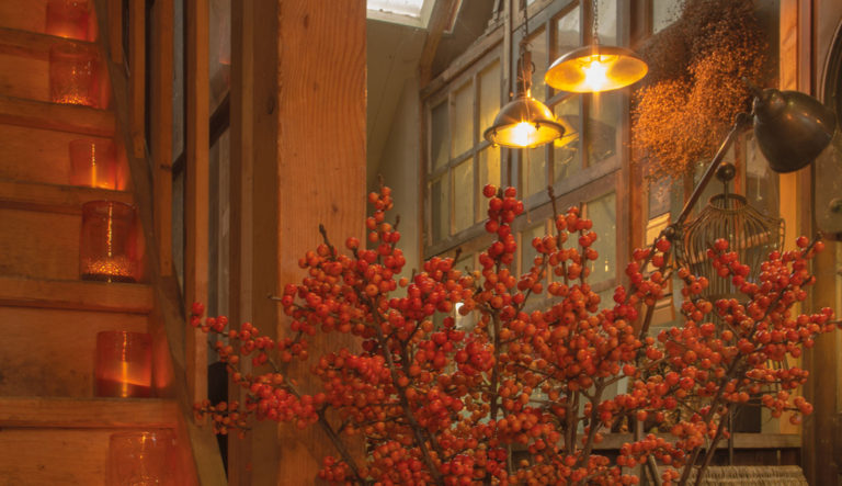 tuinwinkel-in-wintersfeer-hovenierscentrum-de-briellaerd-barneveld-l_5