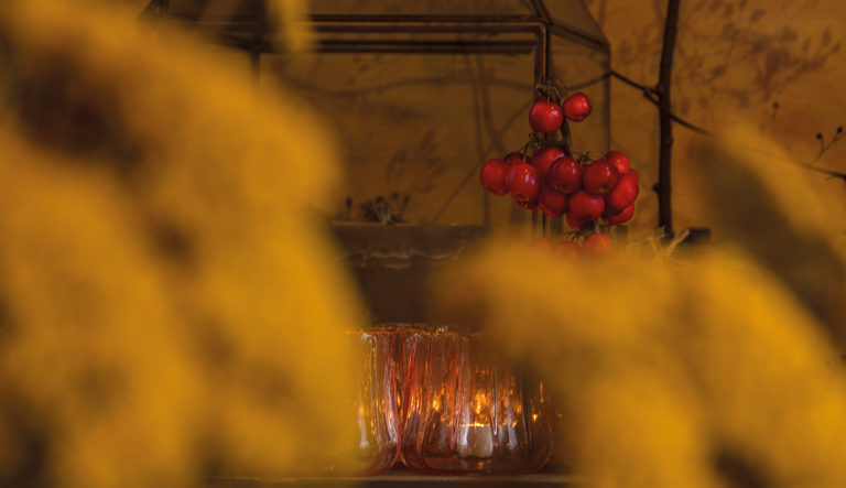 tuinwinkel-in-wintersfeer-hovenierscentrum-de-briellaerd-barneveld-l_6