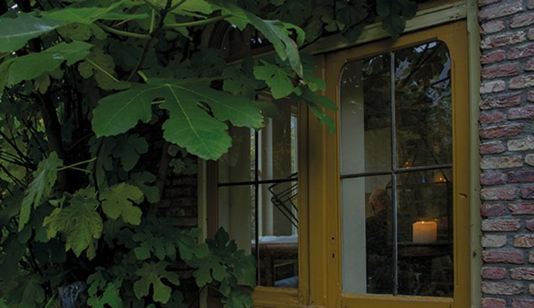veranda-hovenierscentrum-de-briellaerd-barneveld_l_5
