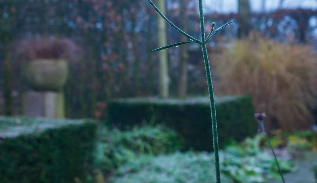 Thematuin genaamd 'Vormentuin' op Hovenierscentrum De Briellaerd in Barneveld