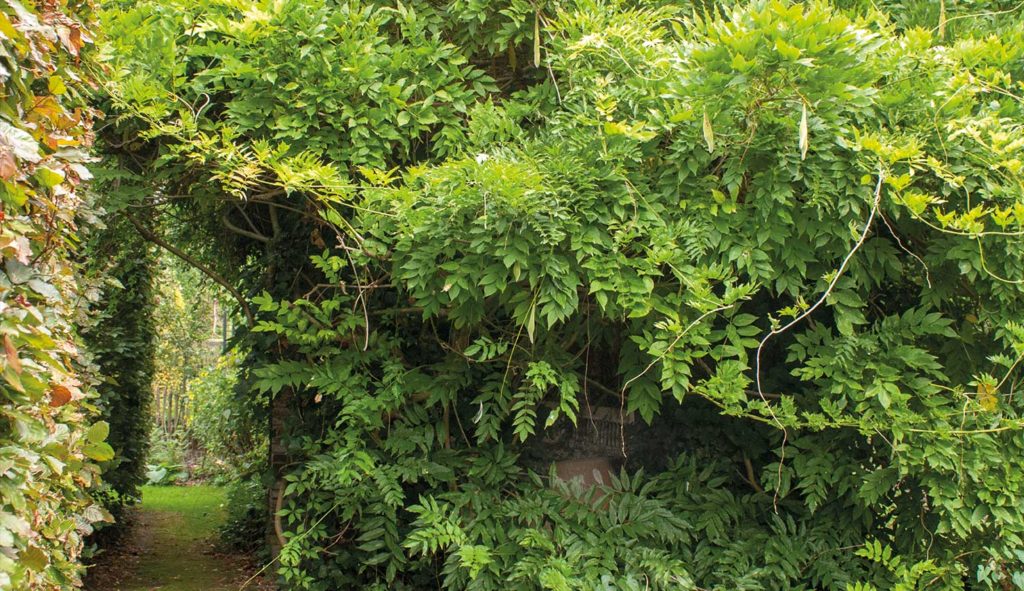 Thematuin genaamd 'Engelse tuin' op Hovenierscentrum De Briellaerd in Barneveld