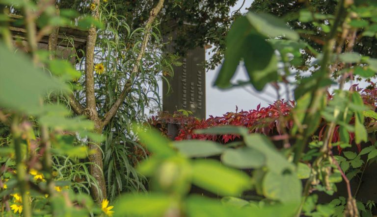 engelse-tuin-hovenierscentrum-de-briellaerd-barneveld_l_4
