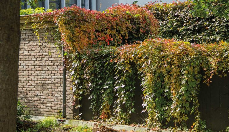 engelse-tuin-hovenierscentrum-de-briellaerd-barneveld_l_5
