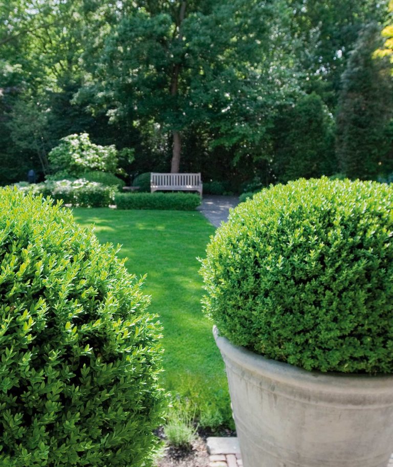 exclusieve-potterie-en-tuinornamenten-hovenierscentrum-de-briellaerd-39