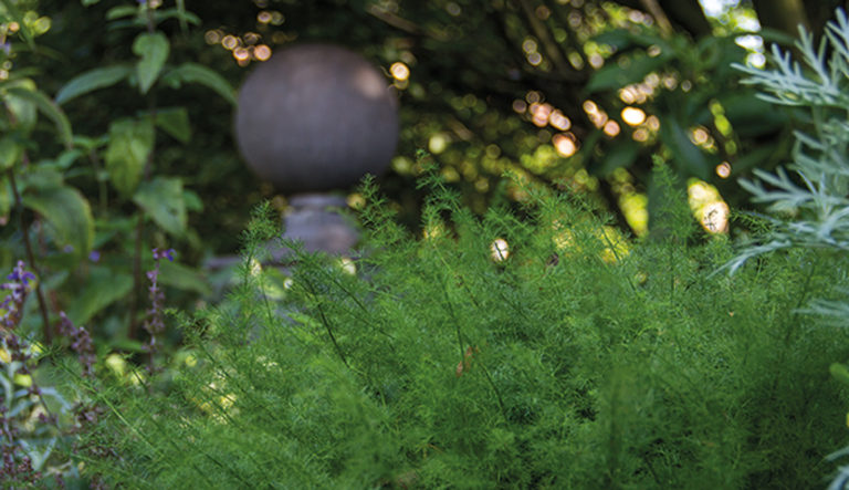 exclusieve-potterie-en-tuinornamenten-hovenierscentrum-de-briellaerd-76