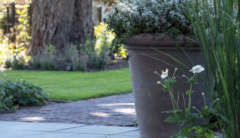 exclusieve-potterie-en-tuinornamenten-hovenierscentrum-de-briellaerd-79