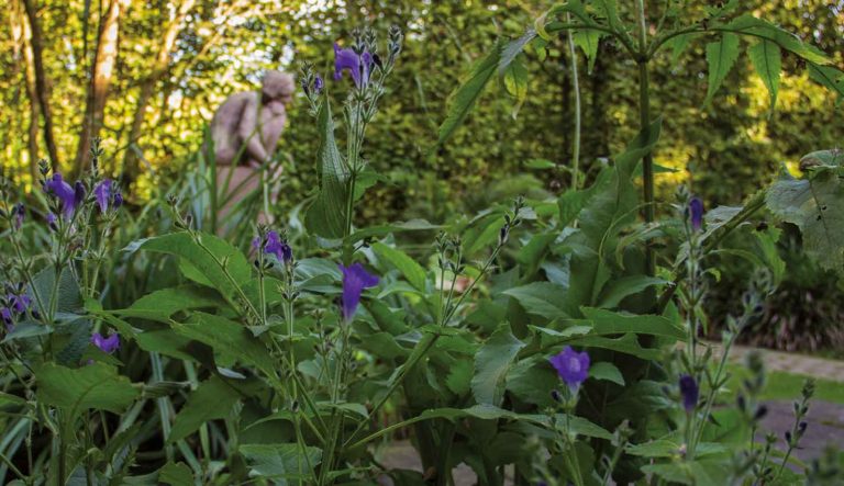 exclusieve-potterie-en-tuinornamenten-hovenierscentrum-de-briellaerd-118