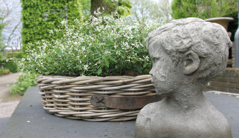 tuinbeelden-hovenierscentrum-de-briellaerd-barneveld_l_4