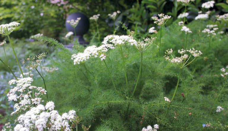 tuinornament-lood-hovenierscentrum-de-briellaerd-barneveld_1