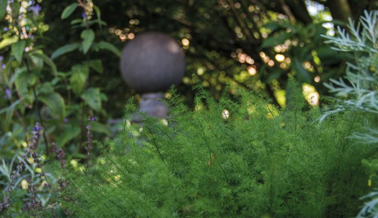tuinornament-lood-hovenierscentrum-de-briellaerd-barneveld_2