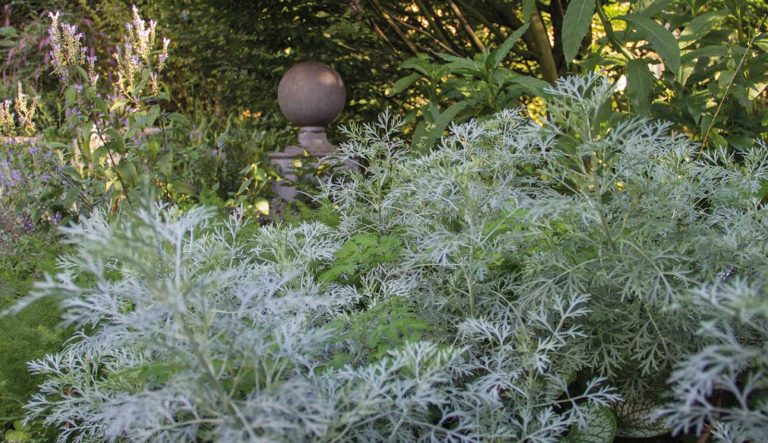 tuinornament-lood-hovenierscentrum-de-briellaerd-barneveld_3