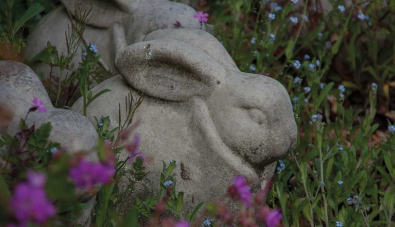 tuinrornamenten-dieren-hovenierscentrum-de-briellaerd-barneveld_l_1